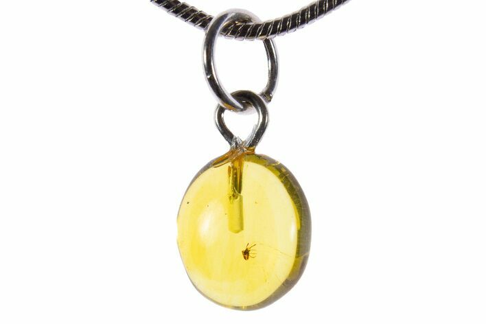 Polished Baltic Amber Pendant (Necklace) - Contains Mite! #339598